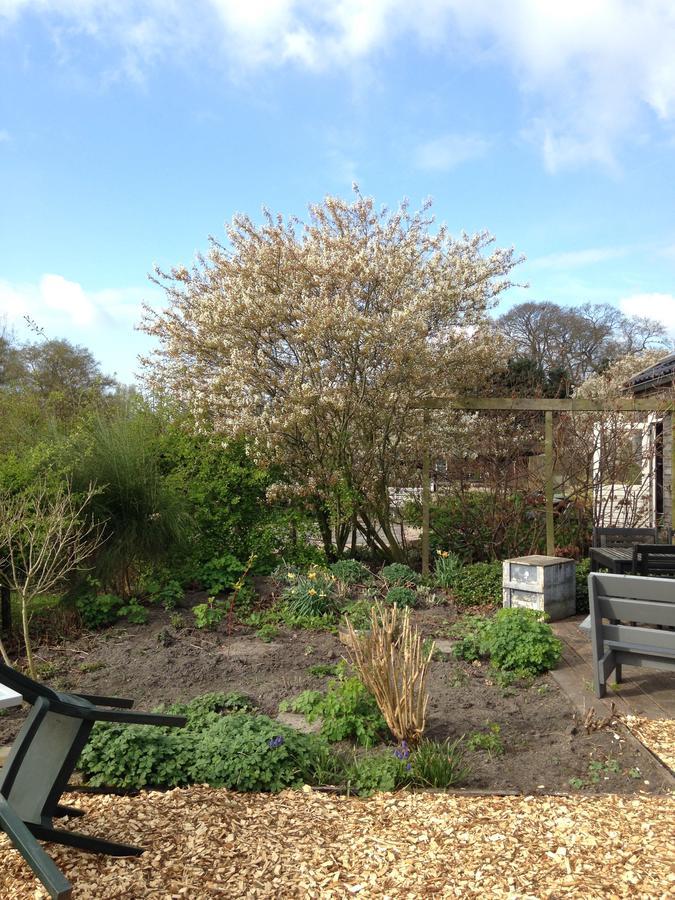 B&B Op Kolderveen Nijeveen ภายนอก รูปภาพ